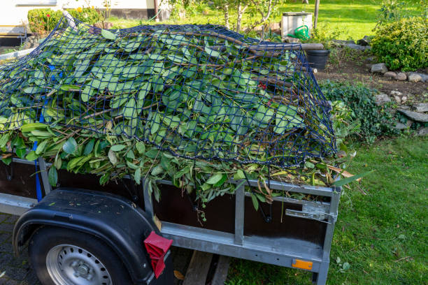 Best Carpet Removal and Disposal  in North Ridgeville, OH